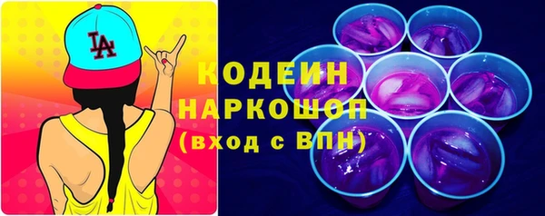 2c-b Ельня