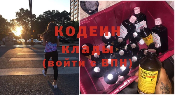 хмурый Дмитровск