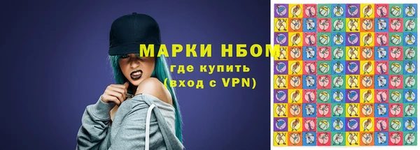 2c-b Ельня