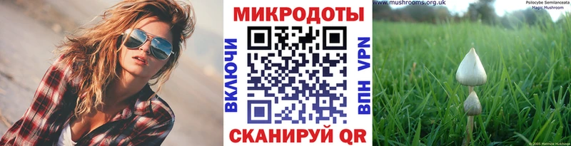 Галлюциногенные грибы Cubensis  Енисейск 