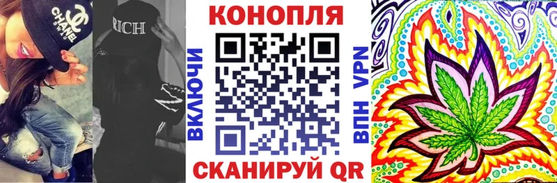 Конопля гибрид Енисейск